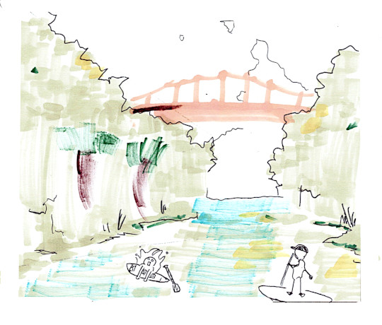 マングローブSUPツアーのご感想