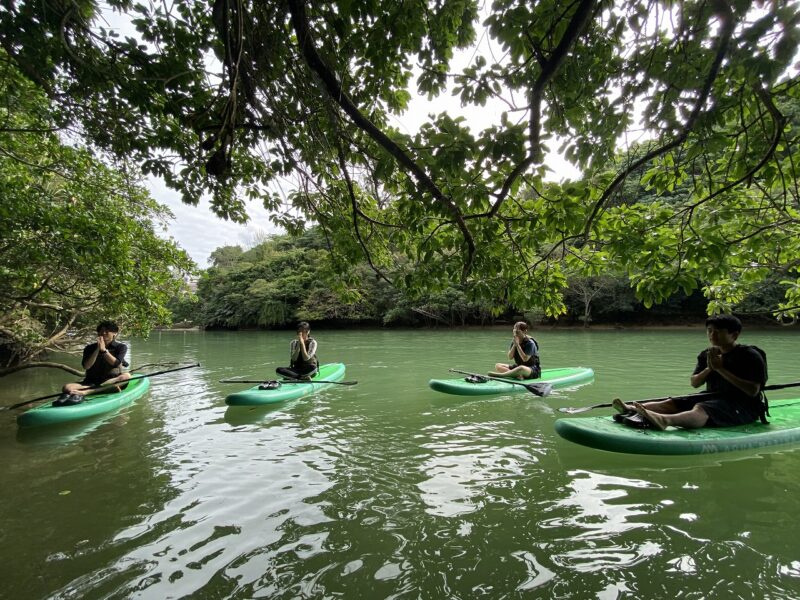 マングローブSUP