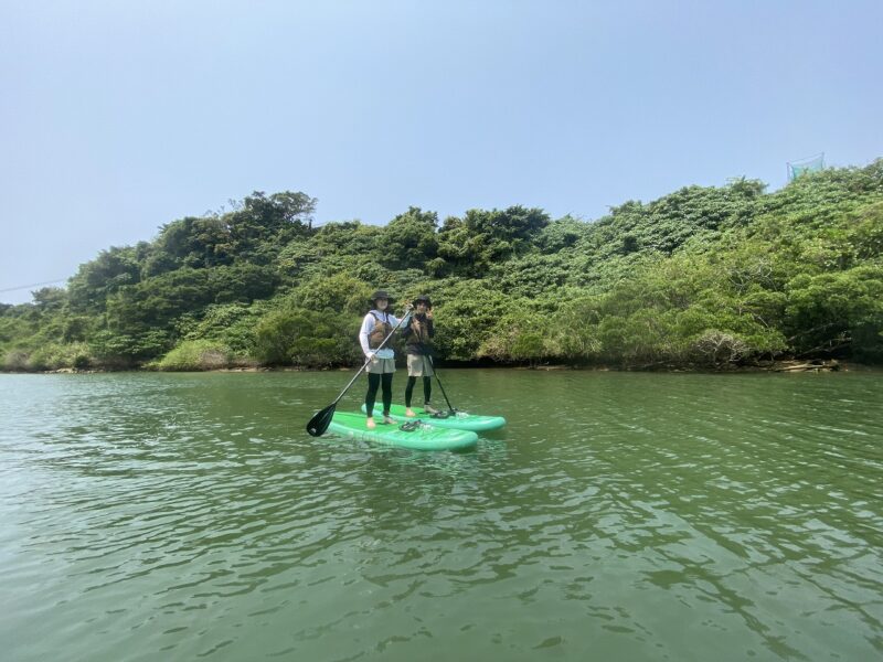 マングローブSUP