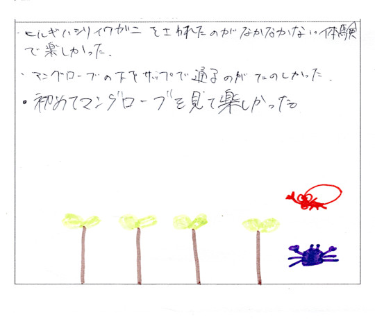 マングローブSUPツアーのご感想